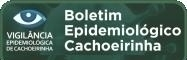 Boletins Epidemiolgicos